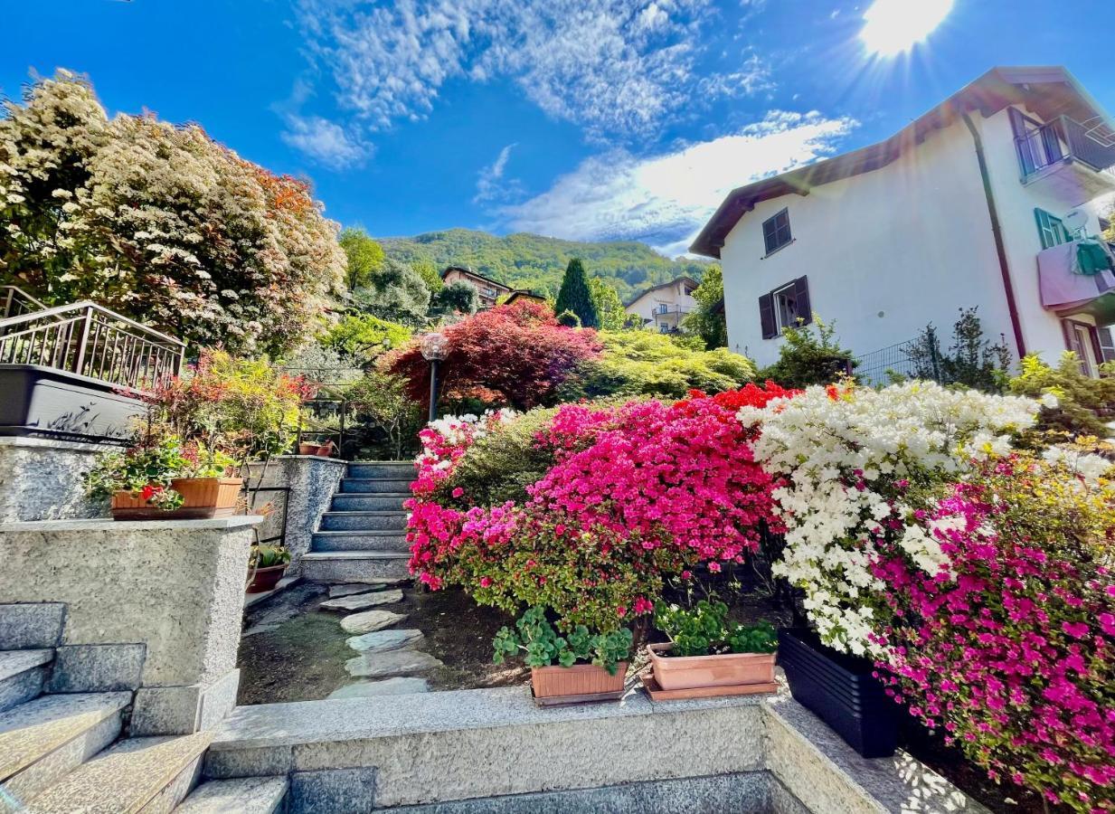 Eden Sul Lago Di Como Nesso Kültér fotó