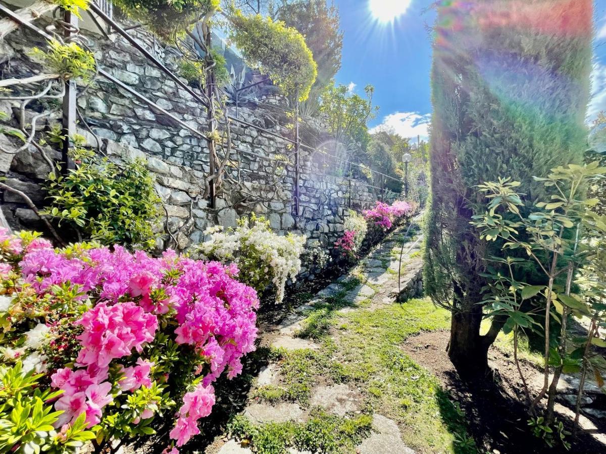 Eden Sul Lago Di Como Nesso Kültér fotó