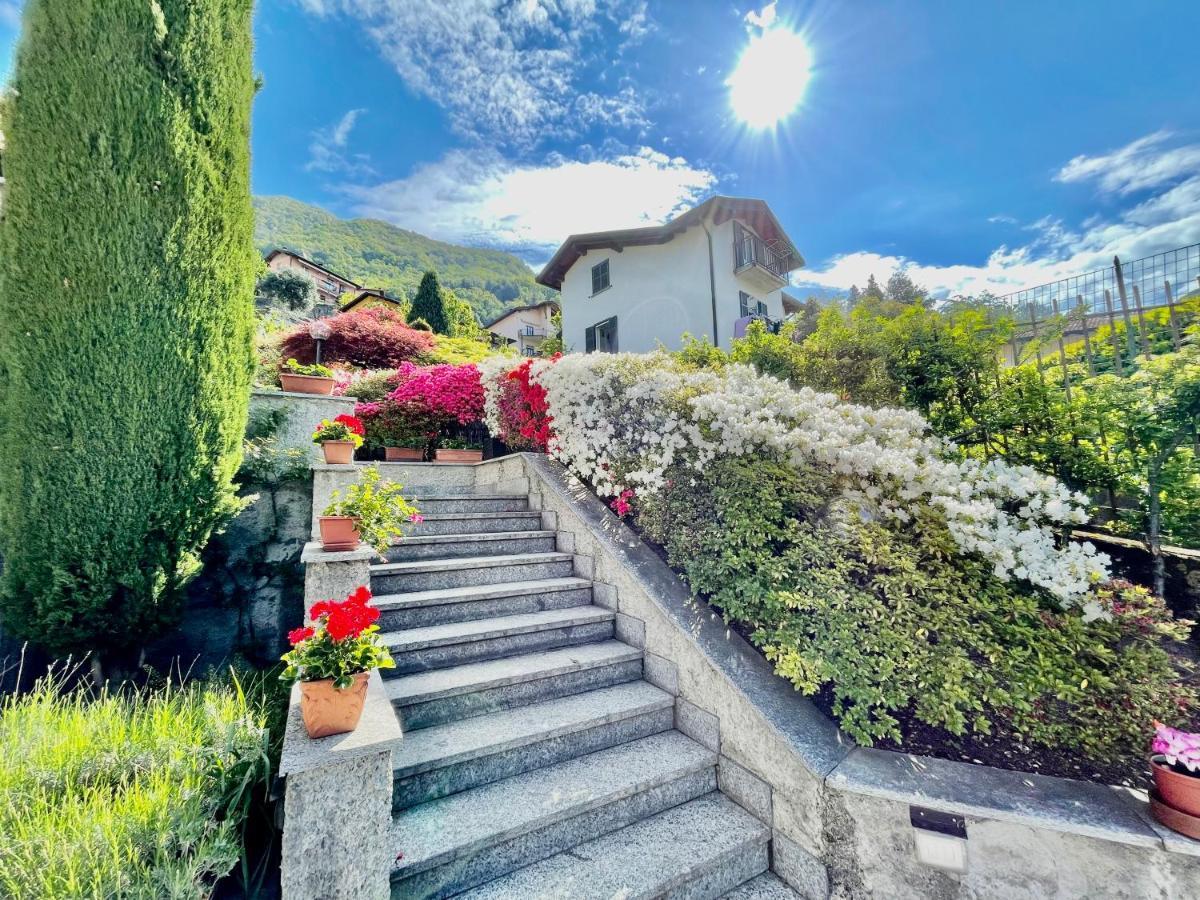 Eden Sul Lago Di Como Nesso Kültér fotó