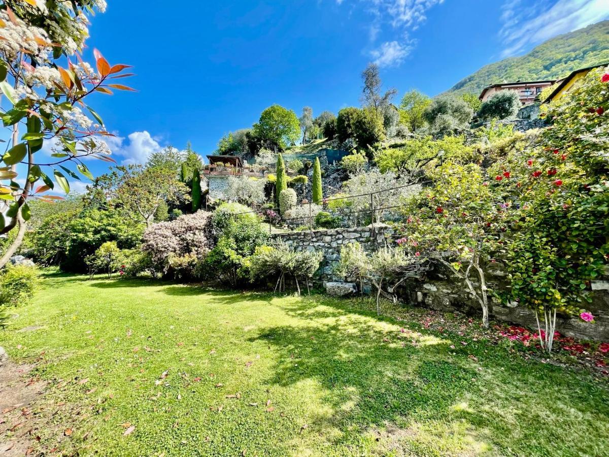 Eden Sul Lago Di Como Nesso Kültér fotó