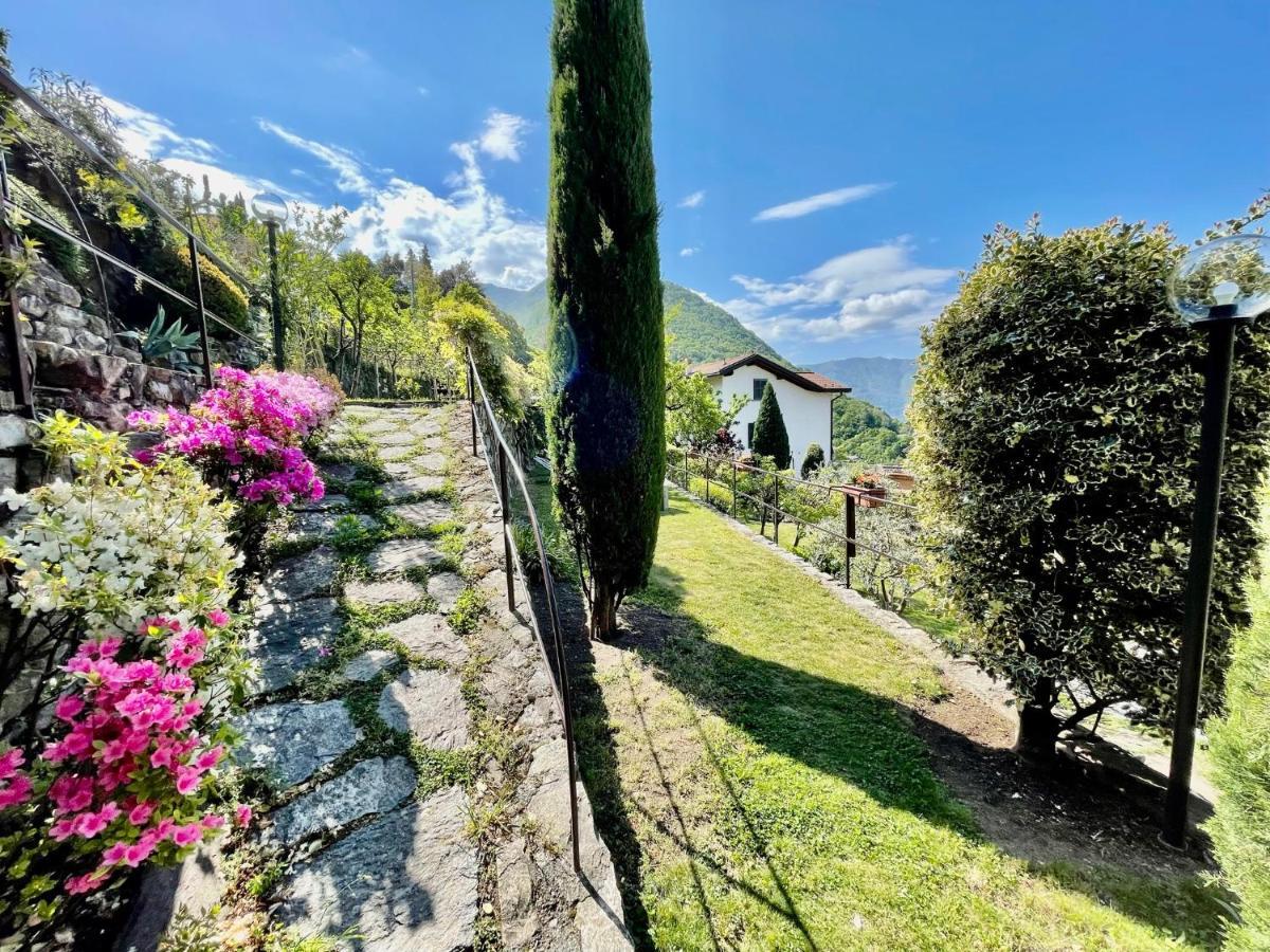Eden Sul Lago Di Como Nesso Kültér fotó